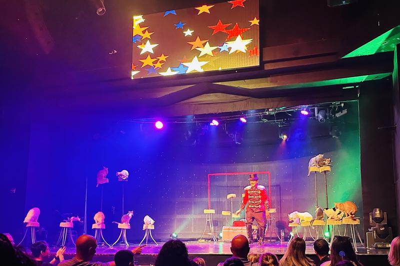 Hold tight to your popcorn, and be prepared for the purrfect family-bonding show in Las Vegas!